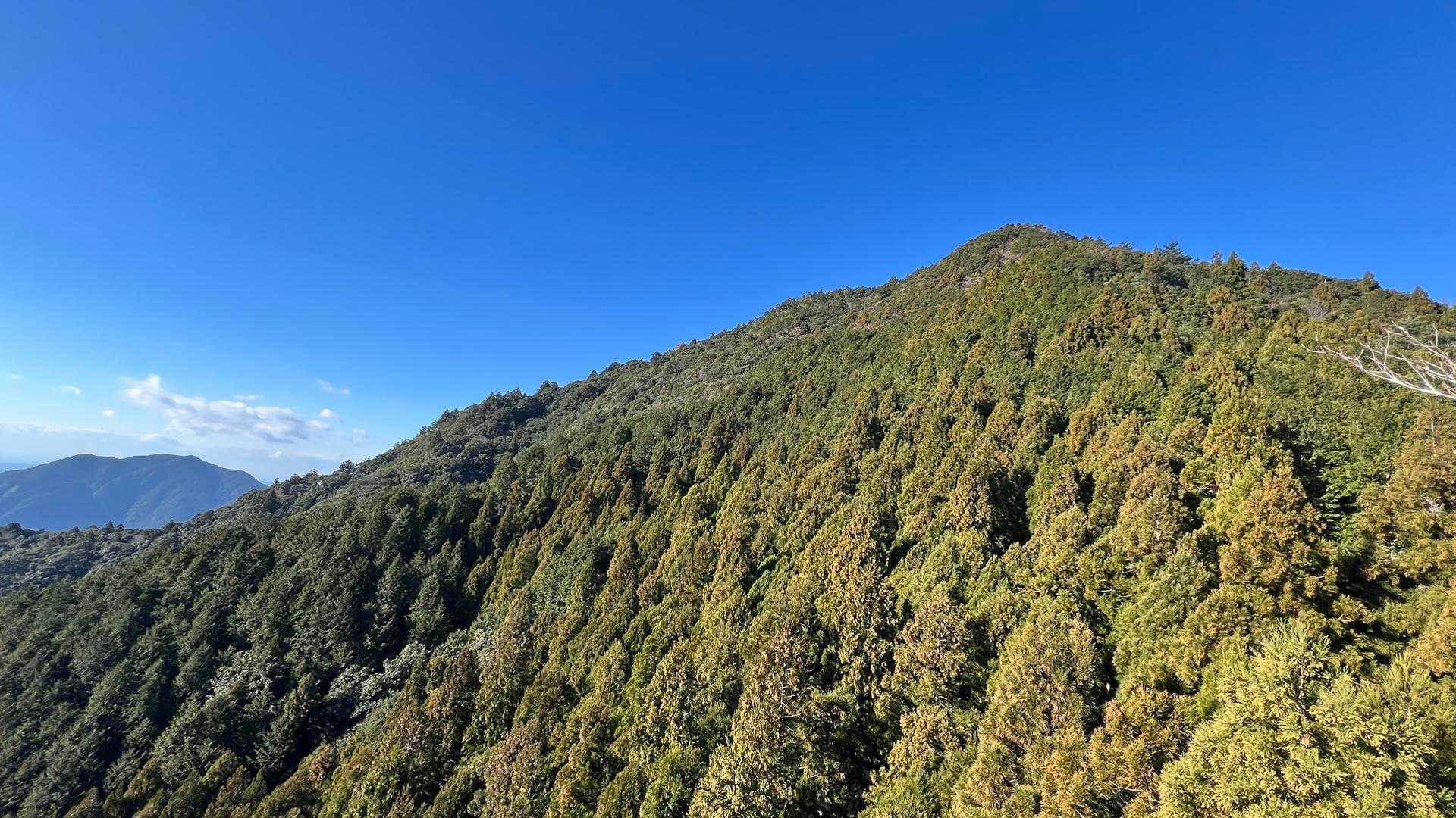 烏帽子山の山容