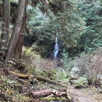 伽羅の滝コースで下山できました。