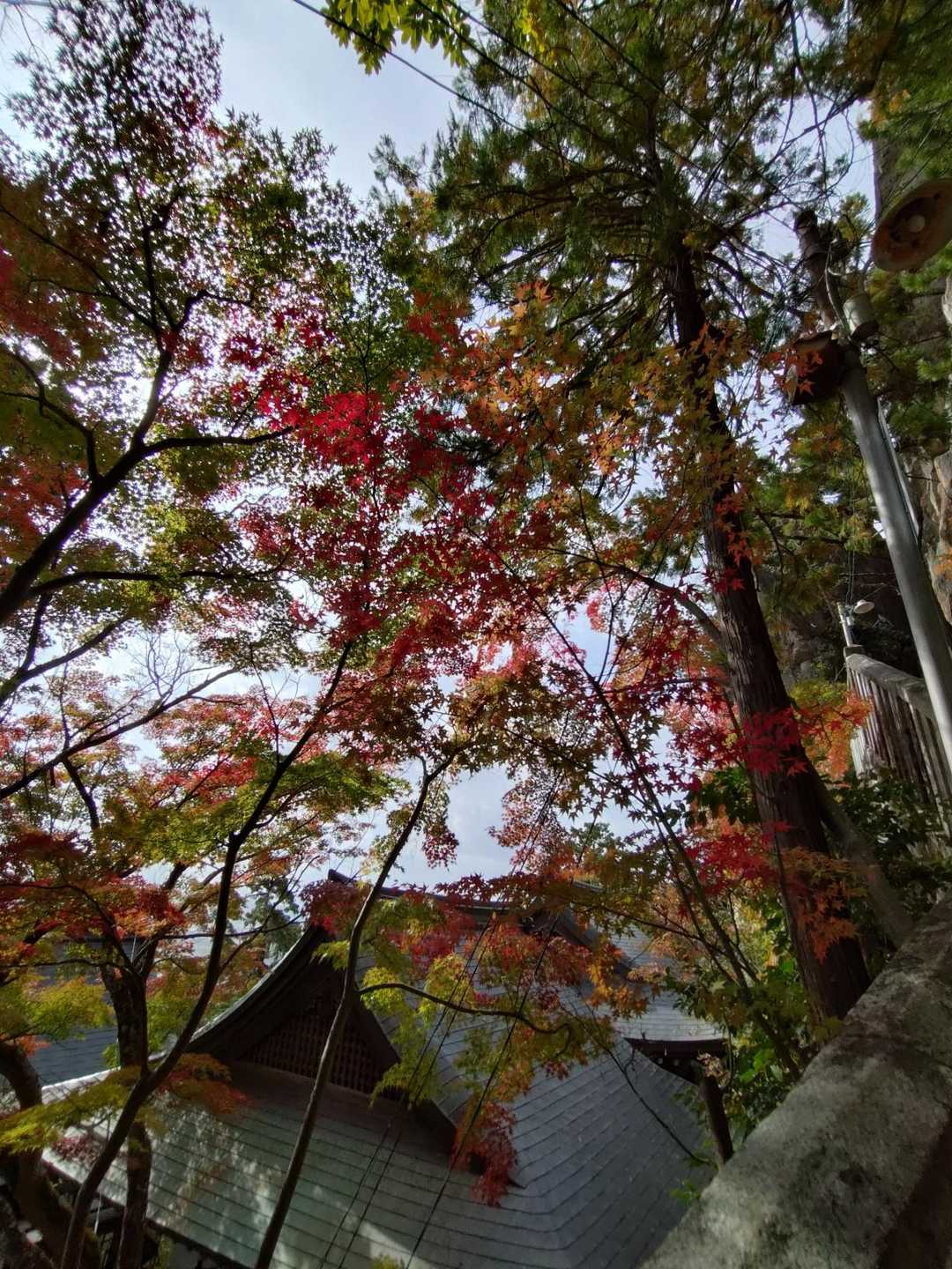 おつですな。