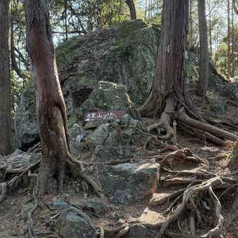 大岩！でかい！