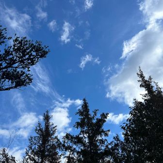 見上げれば青空✨