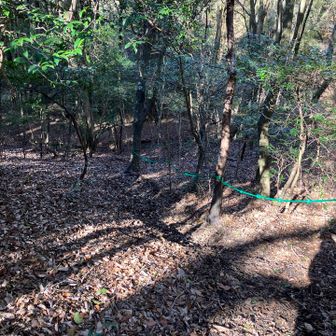 急な下り道。ロープあります。