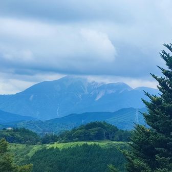 伊吹山へ行くつもりで走り出したが、山頂が雲の中だったのでこちらへ