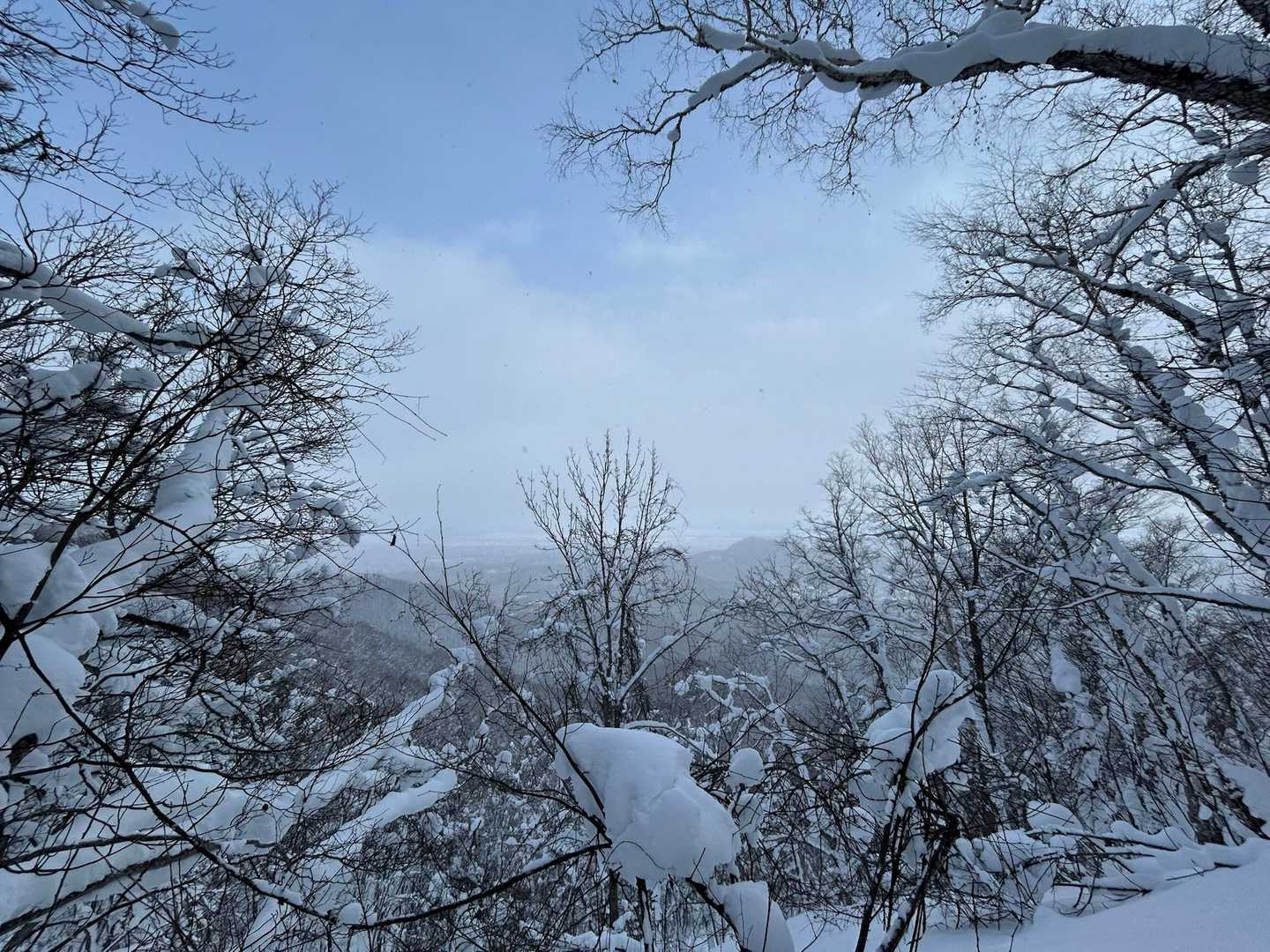 開けたところで。
立ち止まると完全な無風。静寂感が素敵