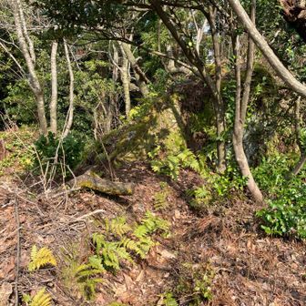 五十公野山
看板が見つからず、一番高い所を撮影