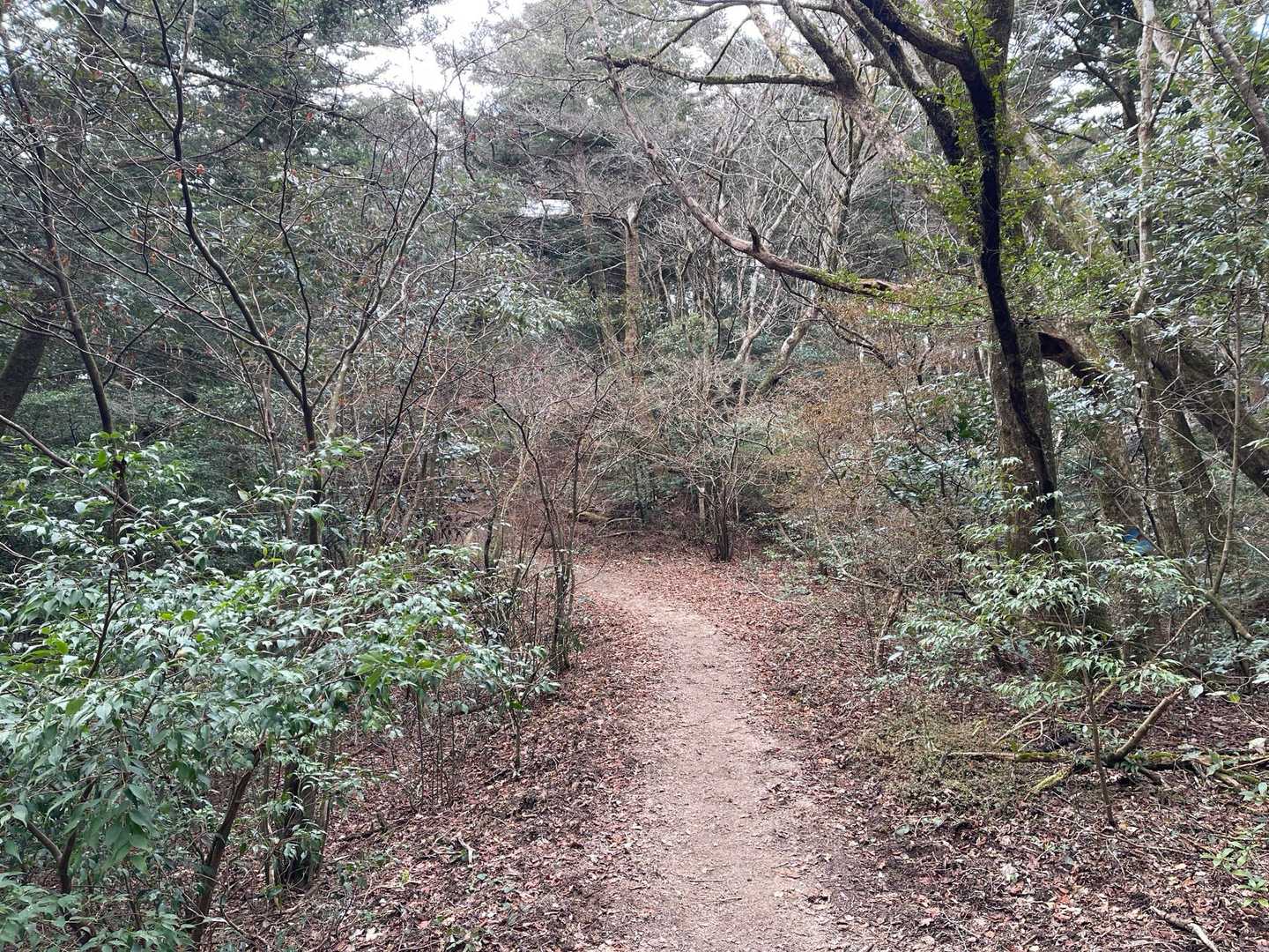 縦走路までは地獄やったけど
ホント縦走路はパラダイス♪