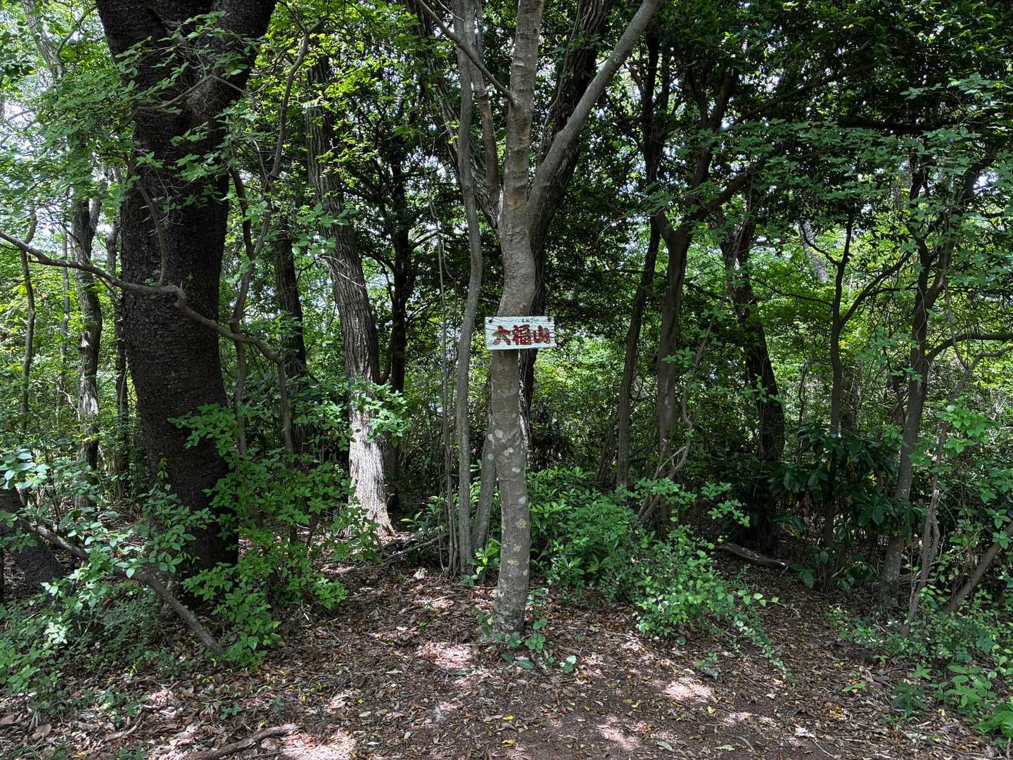 南山-団子石峠-大福山-難台山 往復コースの写真