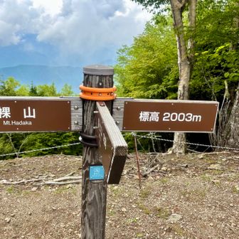 登頂＼(^o^)／