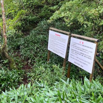 第3ベンチ。南尖峰に通じる入り口があり