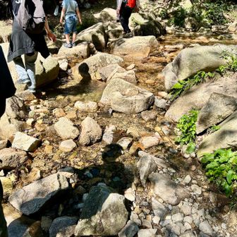 川のせせらぎにみんな癒されてました😊