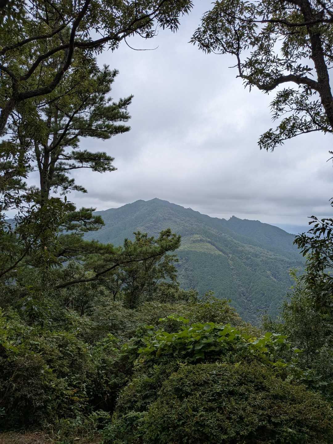 霊山森林公園遊歩道入口-正面登山口-霊山 往復コースの写真