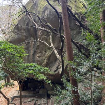 想像以上の巨大さ！✨