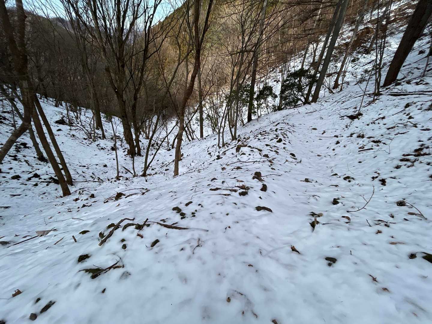 破線に近い登山道
沢沿いをトラバースする感じなのですが、油断するとロストしそうです。
雪は落ち葉の上に薄っすら積もってる程度。
トレースは鹿さんのみ。