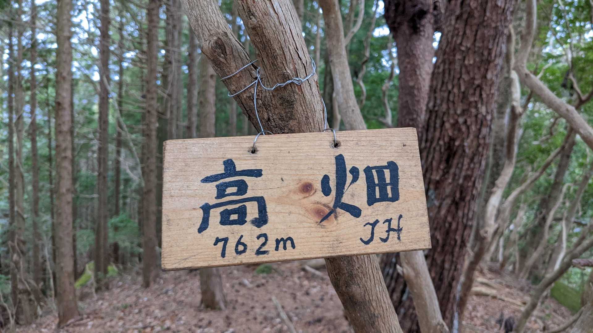 いつものTHさん 発見👍