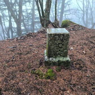 木山の三角点。