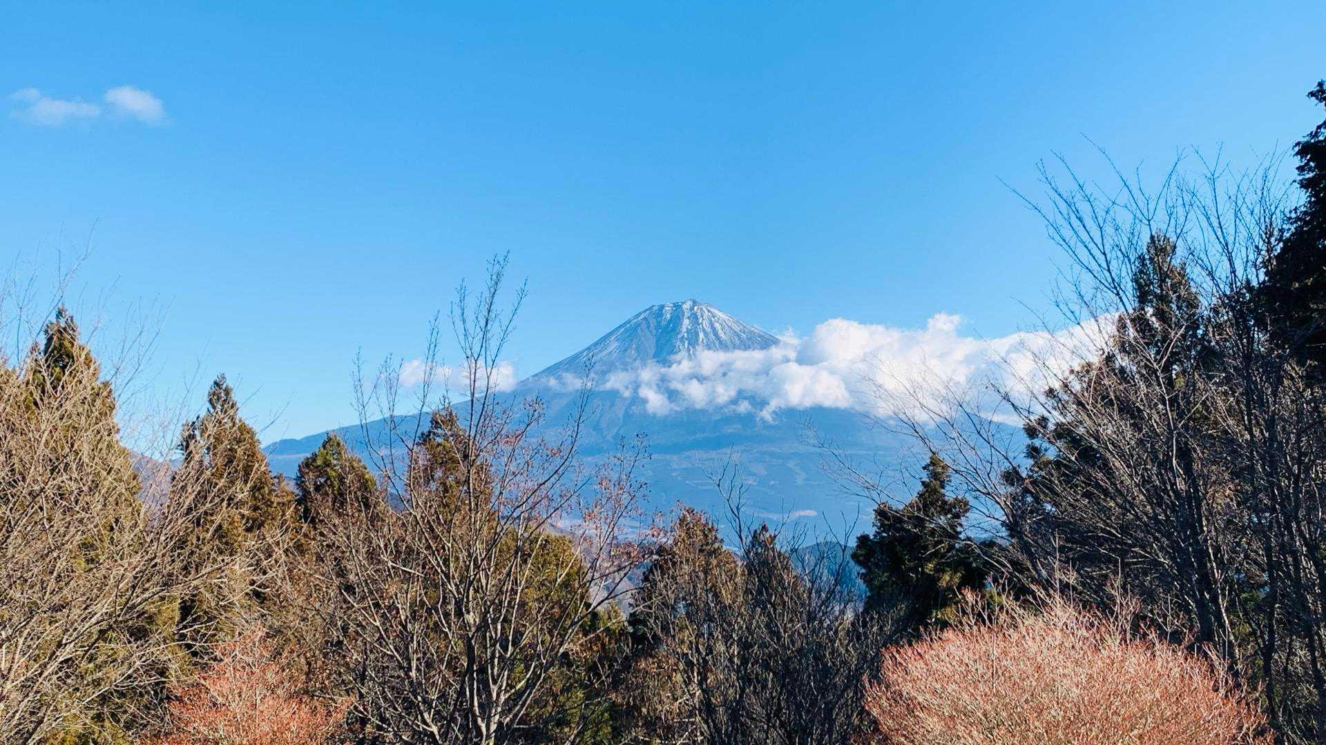 はい、思親山山頂からの富士山🗻です。
周りを木々に縁取られている眺めもまた良し👍