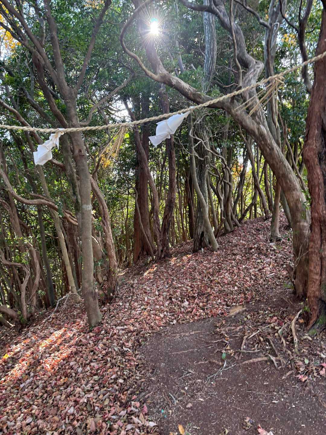三子山三峰、手前に結界？
前回片山神社⛩️が三子山に鎮座してたと看板に書いてあったけど、ここやったんかな🤔