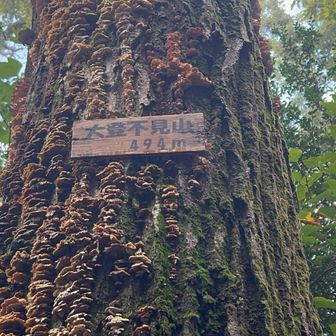 大登不見山（おおとみえずやま）。読めない。
