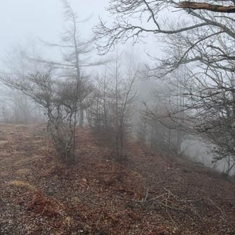 ガスガス〜からの雨ポツポツ☔