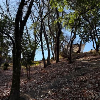 広場に出ました✨