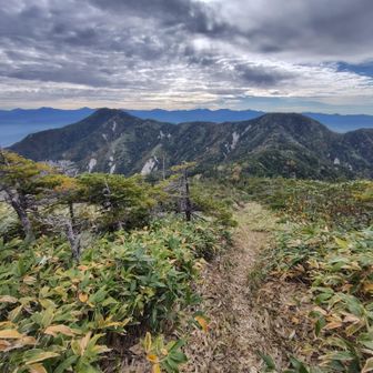 奥念仙岳から越百山への稜線
手入れして頂きありがとう御座います🙇