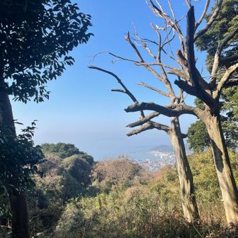 ここからも綺麗な景色。宗像方面