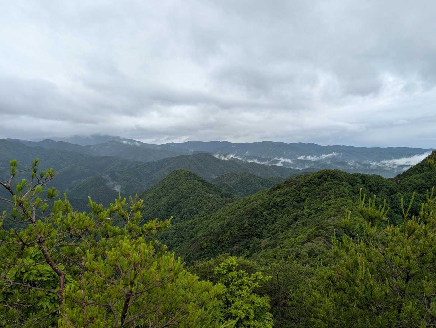三童子山足谷登山口-三童子山-鞍掛山-西ノ谷登山口 縦走コースの写真