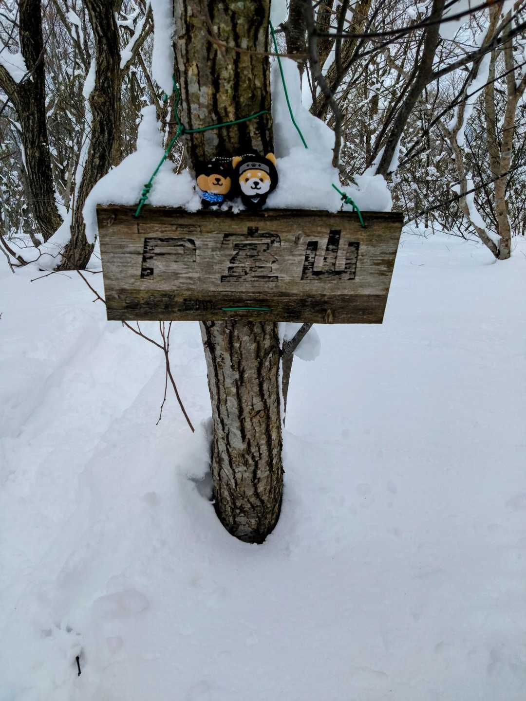 さすれば我らも安気に戸室山へ来れますな、さて記念撮影を📸✌️
