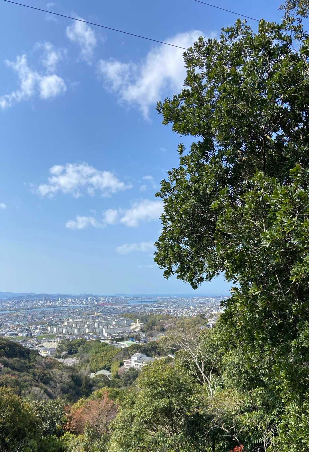 紀ノ川から大阪湾が見えました