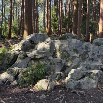 根っこ山に向かう途中には、大きな石灰岩が露出した古くからの信仰の場所「白石様」があります