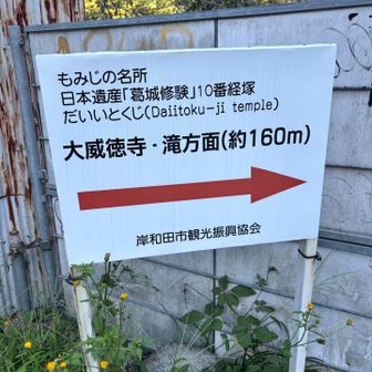 🍁の名所