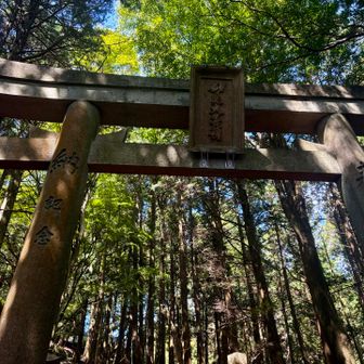 でっかい鳥居⛩️
山頂間近