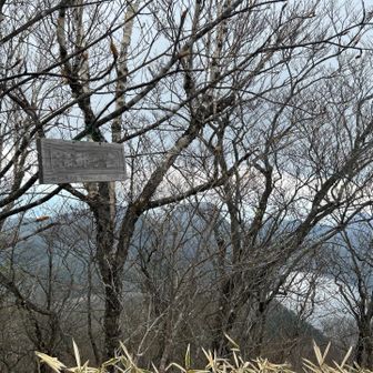 掃部ヶ岳到着其の壱💦
頂上の気温　約10°位