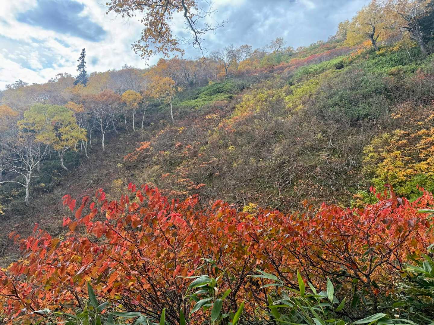 平山登山口-平山-比麻奈山-比麻良山 往復コースの写真