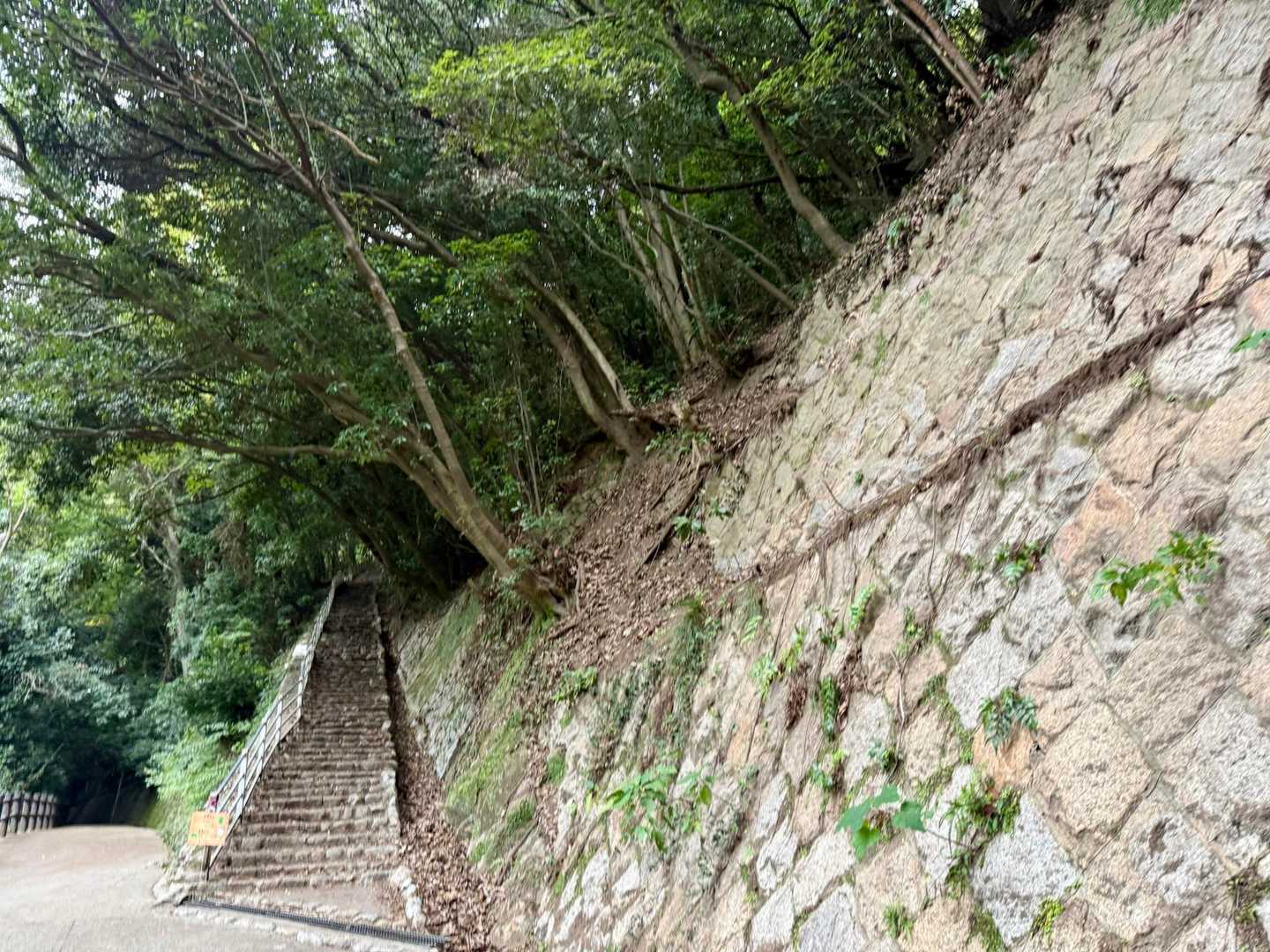 新神戸駅-滝山城跡登山口-摩耶山-摩耶別山-杣谷峠 縦走コースの写真