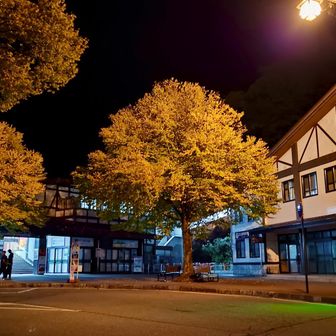 立山駅まで戻って来ました🙌
最後はブラックゴールになりましたが、ロードなので問題無し👍
途中で地元民にどちらまで行くんですか〜と声を掛けられ、駅までと伝えたら『もう少しですから気を付けて👋』
ラストは気分良く終了しました。ありがとうございます😉

YAMAPはポチッと終了
ゲッ！！距離見てビックリ！！
50km 超えるとは思ってなかった😳
飲み物4リットルも飲み干しましたー😋

さぁ～帰るぞ〜
と言っても自宅までがまた長い！！
余韻に浸りながら帰ります🚙💨
