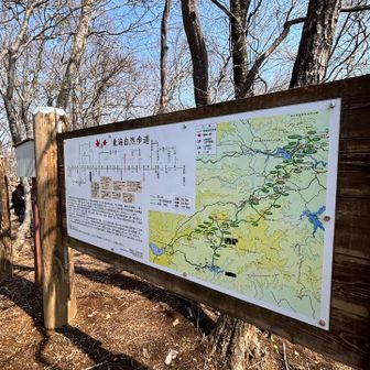 東海自然歩道🍁
蛭ヶ岳の時も一部歩けた