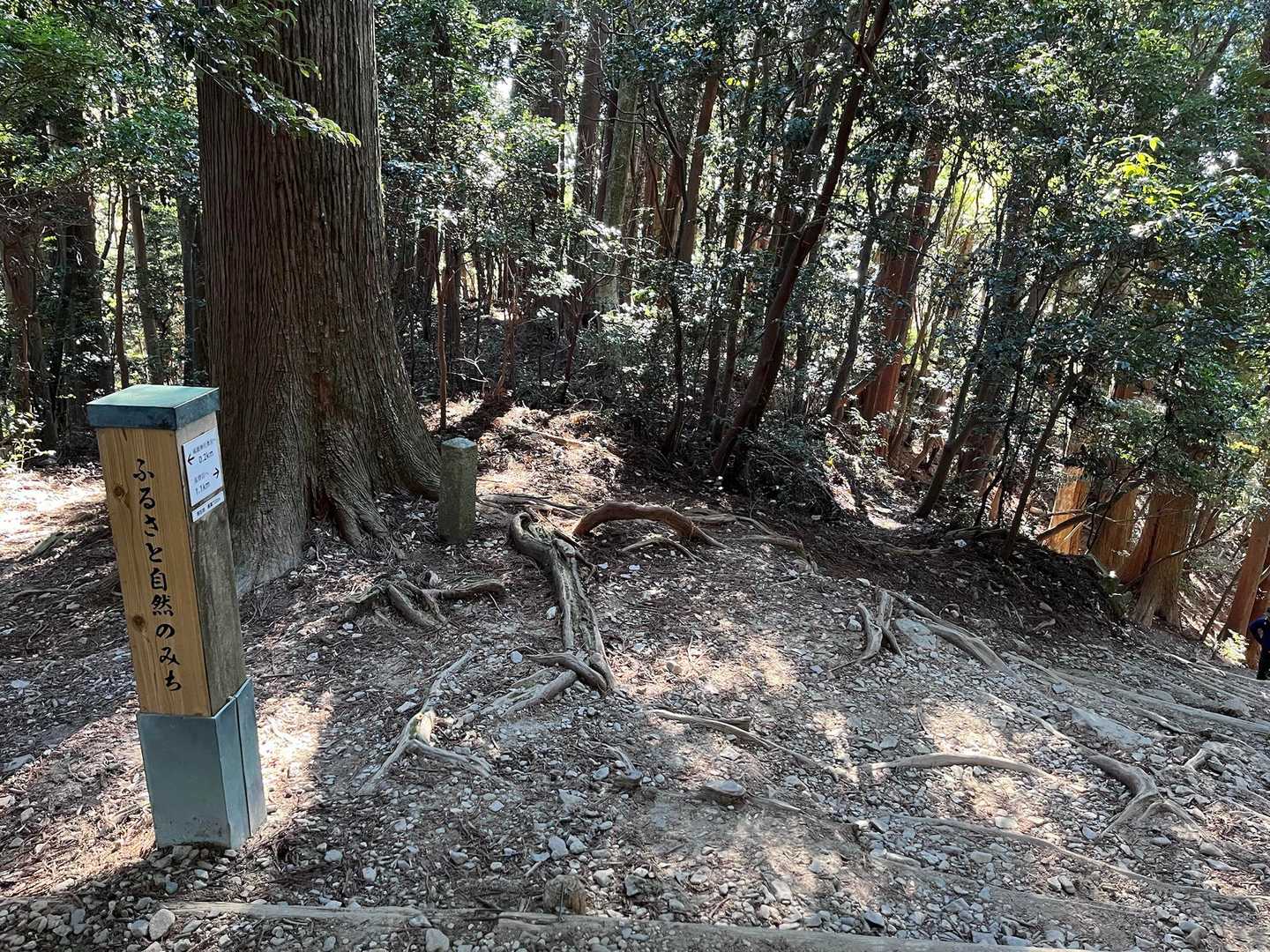 せっかくなので、天狗岩🪨へと寄り道しまーす

本宮山自体は何回も登ってるのですが、天狗岩へ行くのは今回が初めて。

新四十五丁目の分岐を左折します