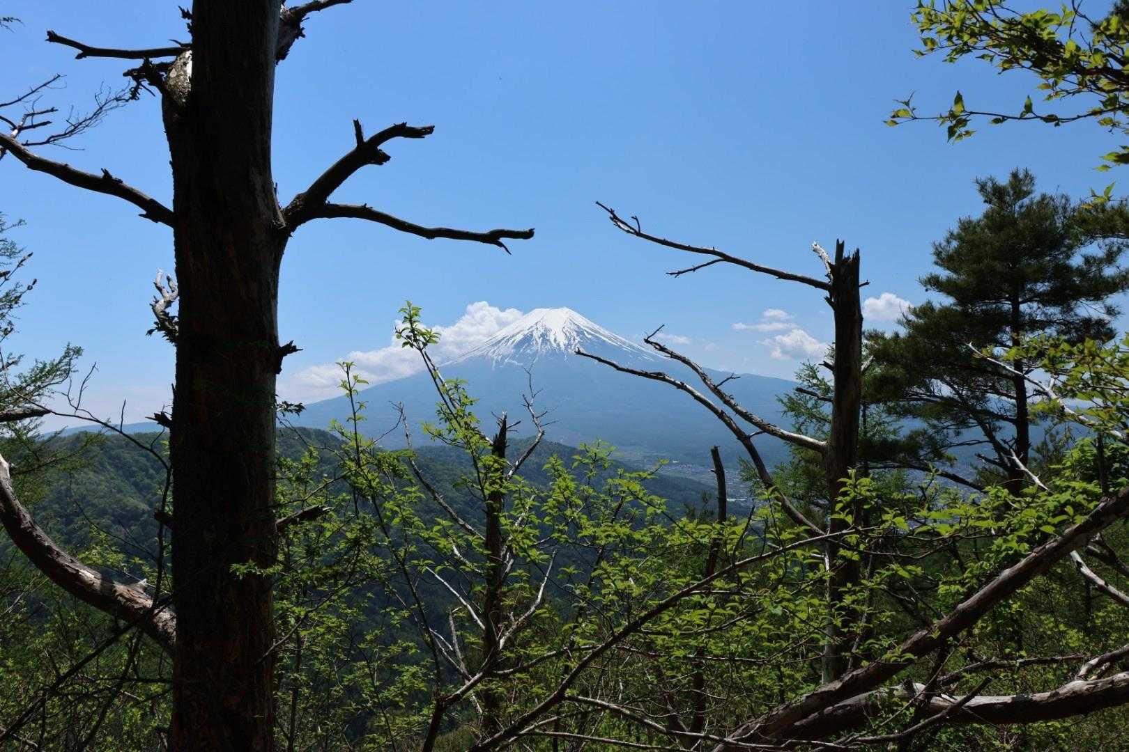 富士山
冬だともっとよく見えるのかも