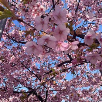 さて、帰ろ〜か🚗