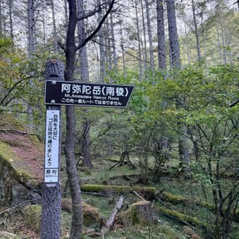 取り付きからは地獄の急登