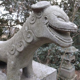 目的はこの狛犬です。
阿形、いい顔してます。