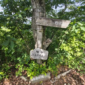高座山山頂