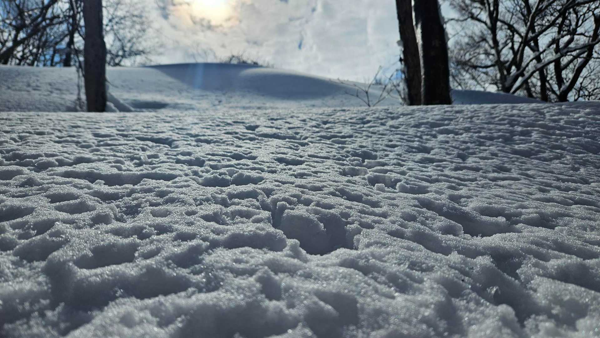 雪原が輝き出して