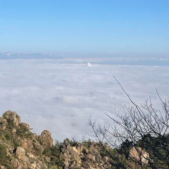 あの尖りが気になる！