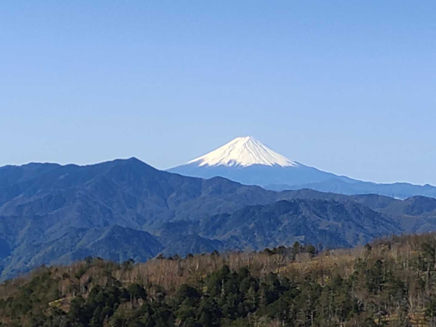 三ノ瀬登山口-東仙波-和名倉山 往復コースの写真