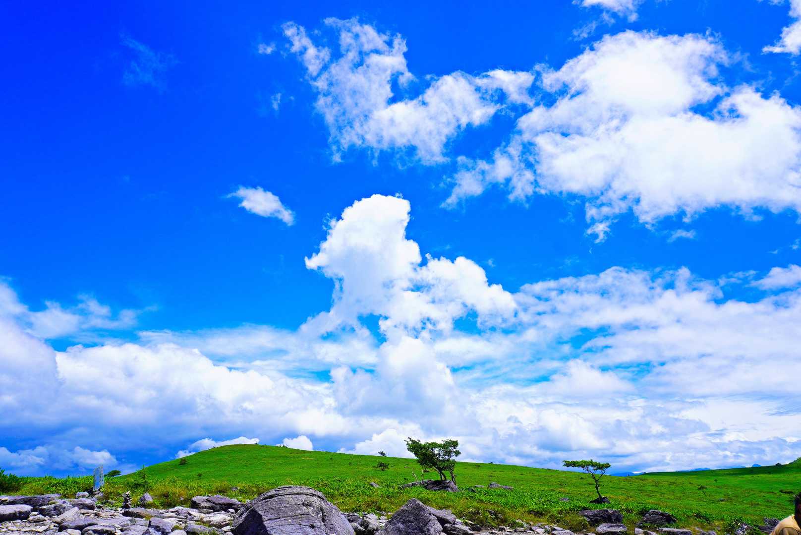 真っ青なお空と 白い雲 😄
