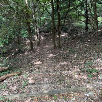 非舗装路へ🚶💨