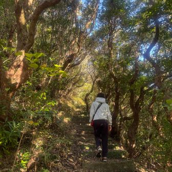 階段を登ります💦