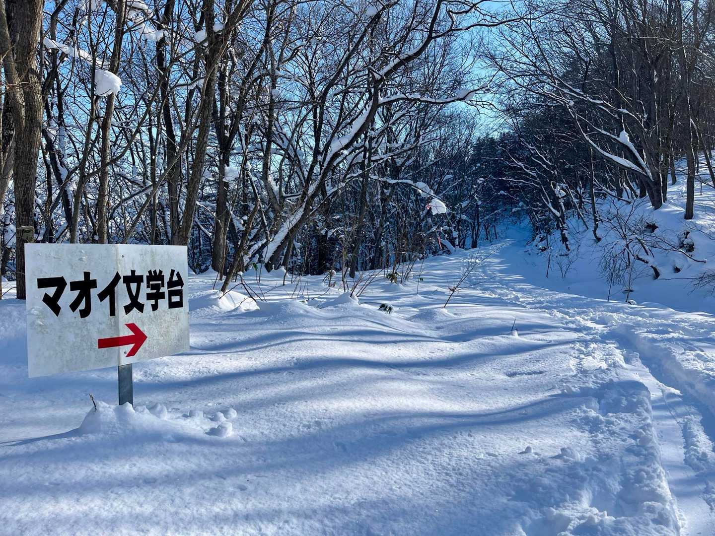 見慣れた文学台入り口
